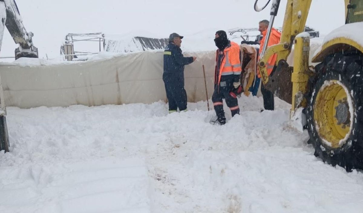 Kar Yağışı Koyun Sürüsünü Vurdu Çadır Çöktü, 8 Telef (2)