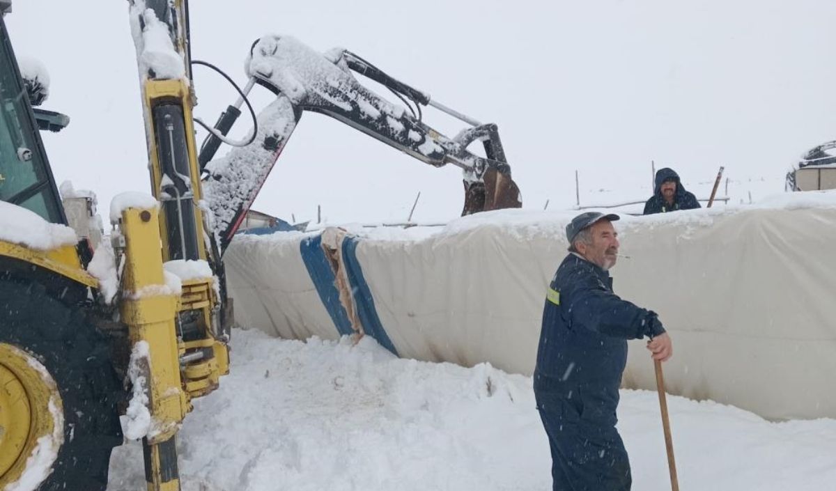 Kar Yağışı Koyun Sürüsünü Vurdu Çadır Çöktü, 8 Telef (3)