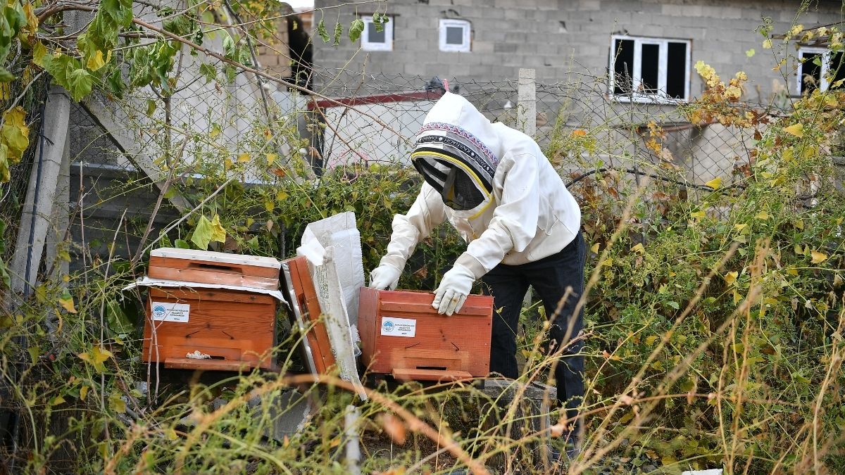 Kayseri Arı Sizden Kovan Bizden (5)