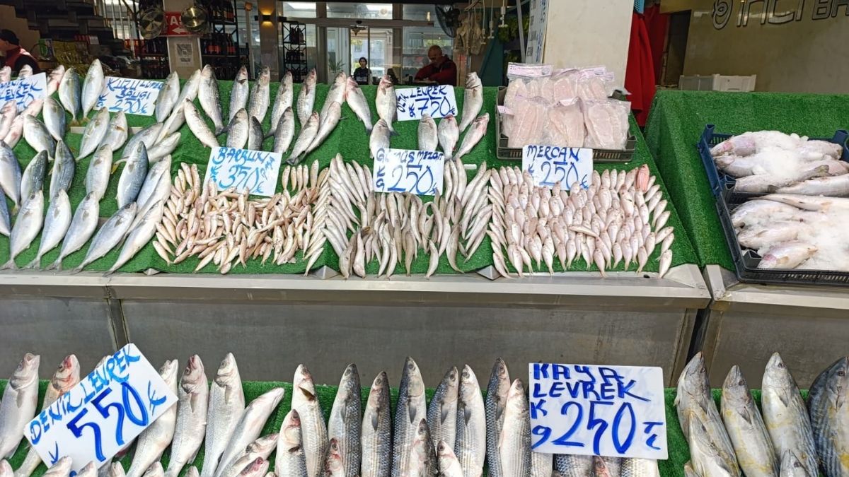 Kayseri Balık Fiyatları (1)