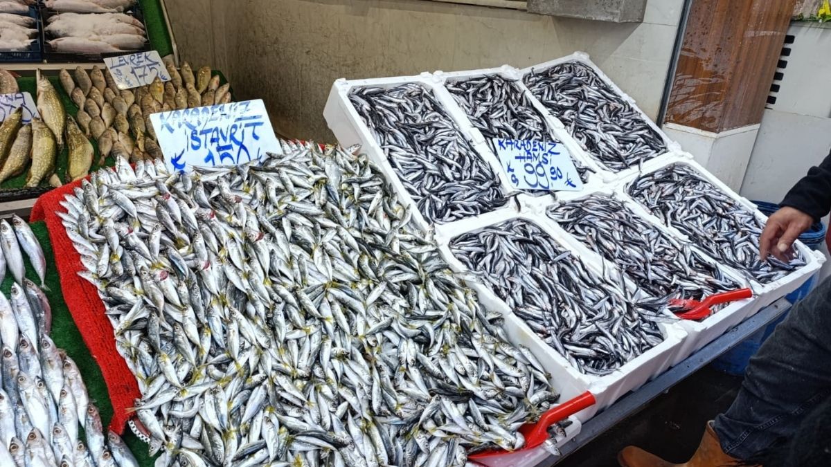 Kayseri Balık Fiyatları (4)