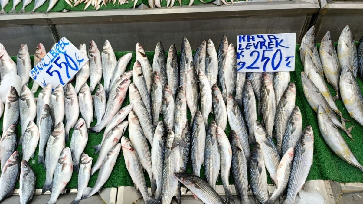 Kayseri Balık Fiyatları (6)