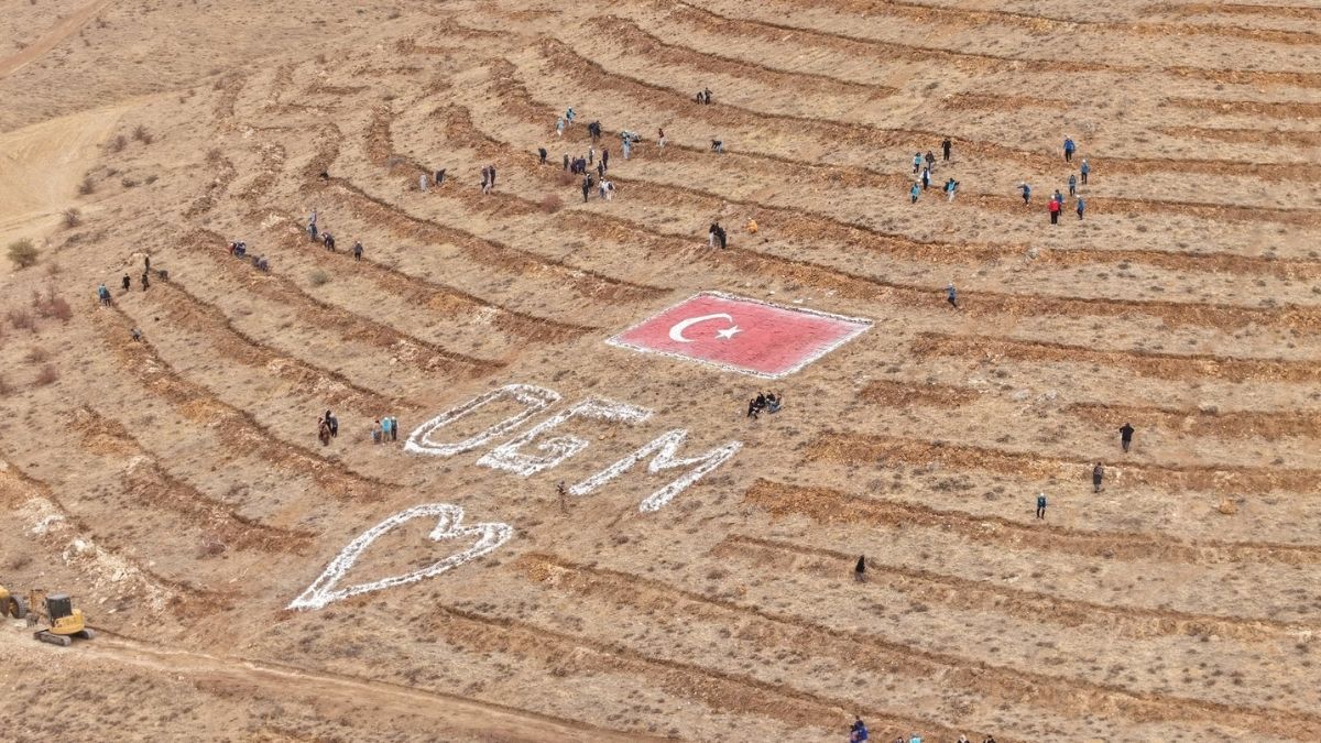 Kayseri De Fidan (6)