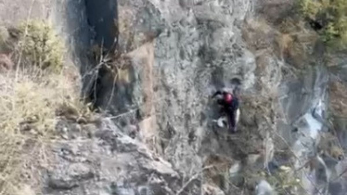 Kayseri Itfaiye Keçi (1)