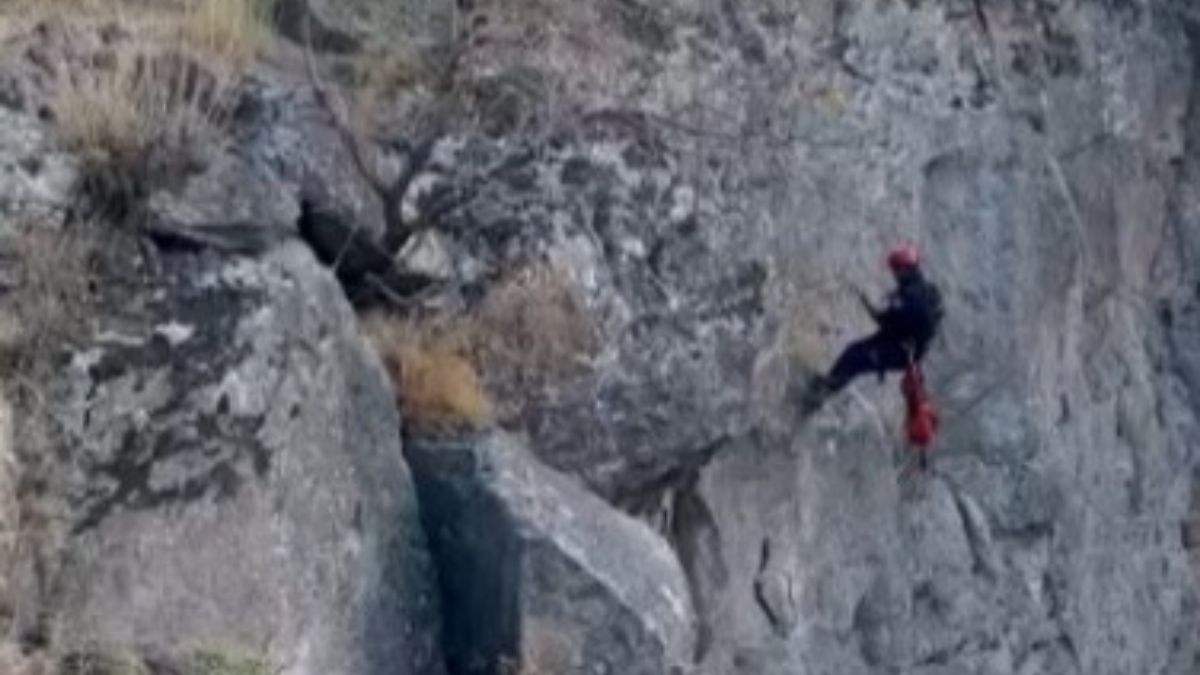 Kayseri Itfaiye Keçi (3)