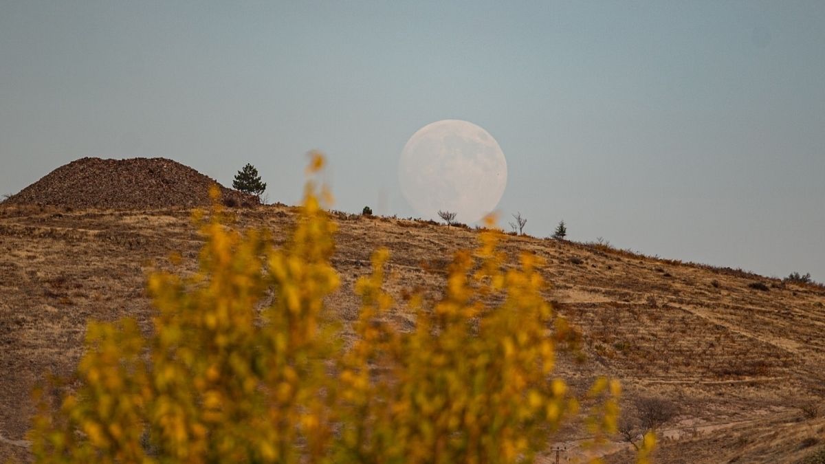 Bozkırın sessizliğinde ufukta beliren dolunay, sarı yapraklarla birleşerek doğanın dinginliğini yansıtıyor.