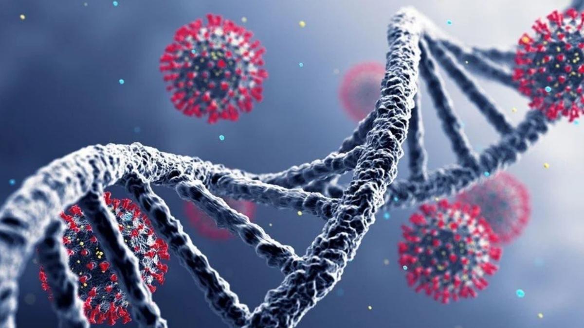 Kayseride Bulgulari Var Mi Uzun Kovid4