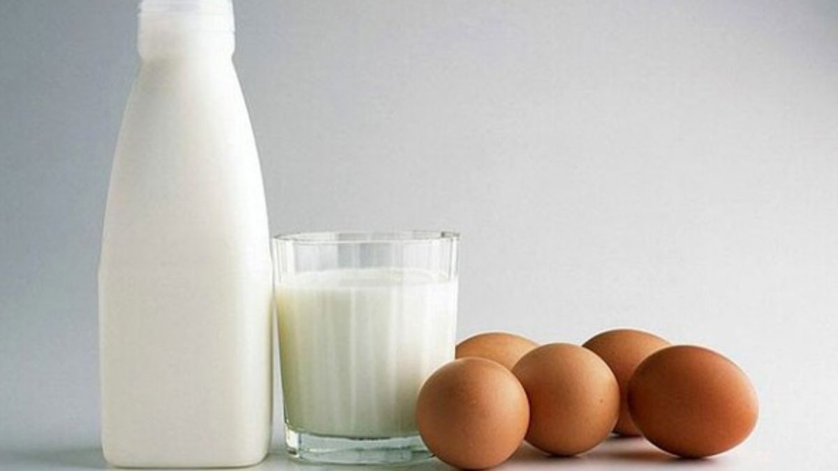 Kayseri’de Dondurucu Soğuklar Geliyor Araçlarınızda Kesinlikle Bırakmayın!2