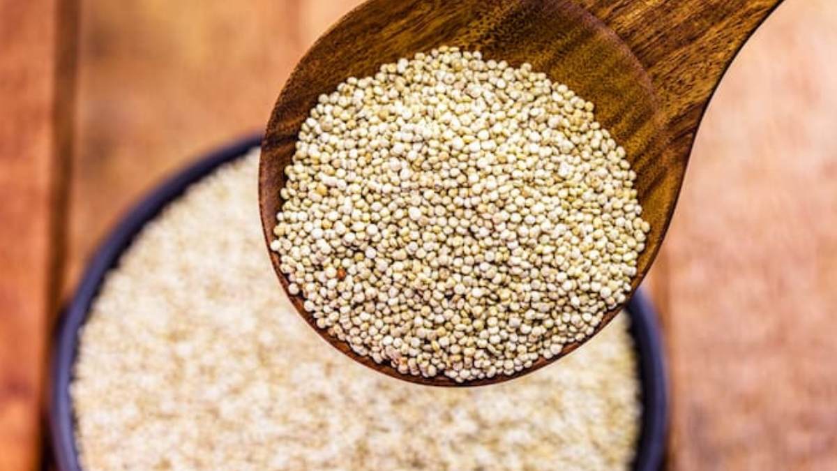 Kayserili Çiftçilere Müjde Tarımda Yeni Alternatif Gelir Kapısı Bulundu!