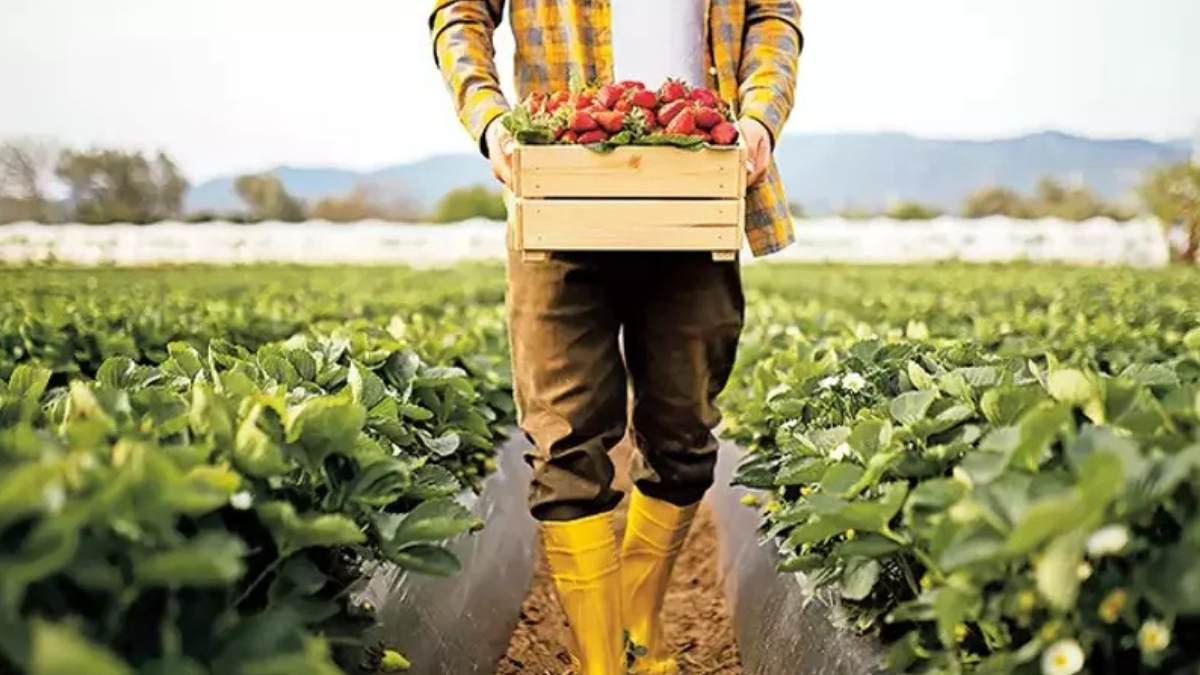 Kayserili Çiftçilere Müjde Tarımda Yeni Alternatif Gelir Kapısı Bulundu!2