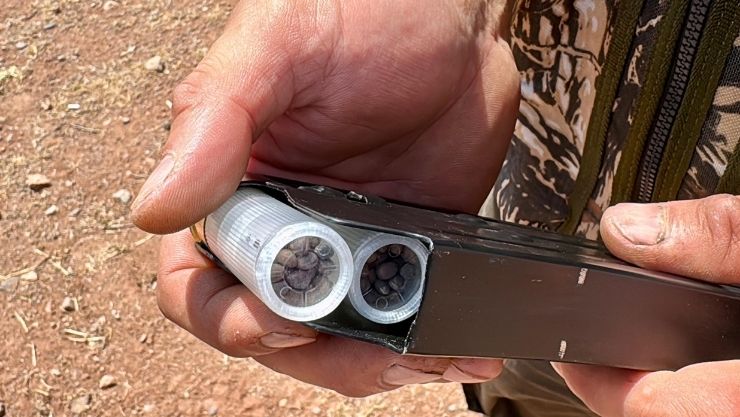 Kırşehir Fişek Orman (10)