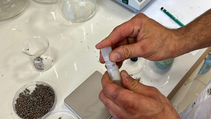 Kırşehir Fişek Orman (11)