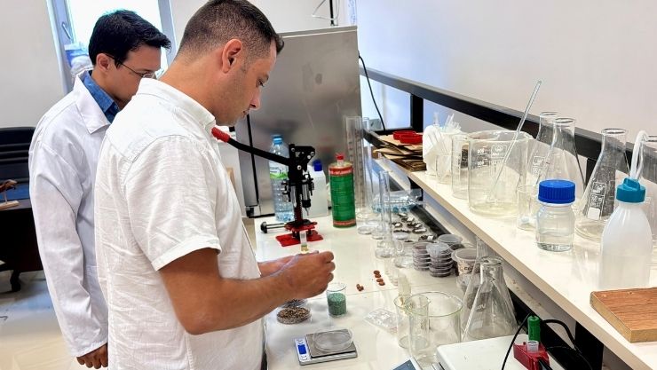 Kırşehir Fişek Orman (3)