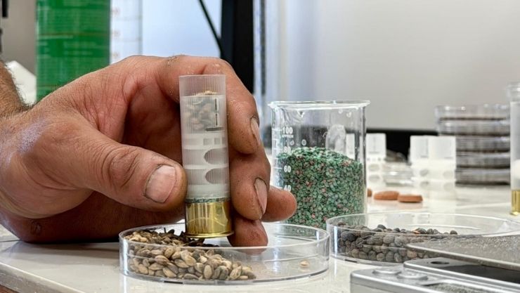 Kırşehir Fişek Orman (6)