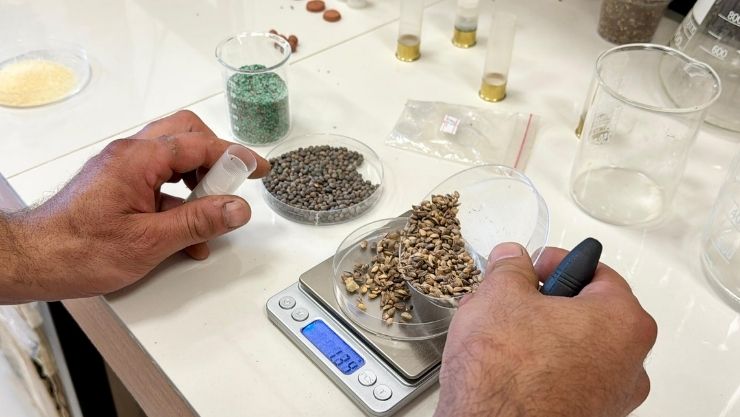 Kırşehir Fişek Orman (9)