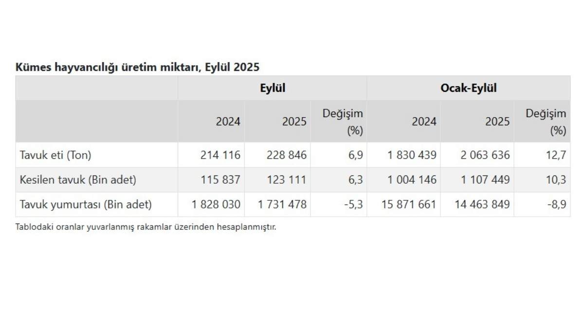 Kümeslerde Denge Bozuldu Tavuk Üretiminde Artış Yumurtada Düşüş Yaşandı
