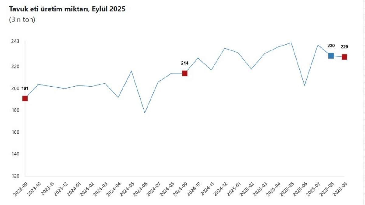 Kümeslerde Denge Bozuldu Tavuk Üretiminde Artış Yumurtada Düşüş Yaşandı2