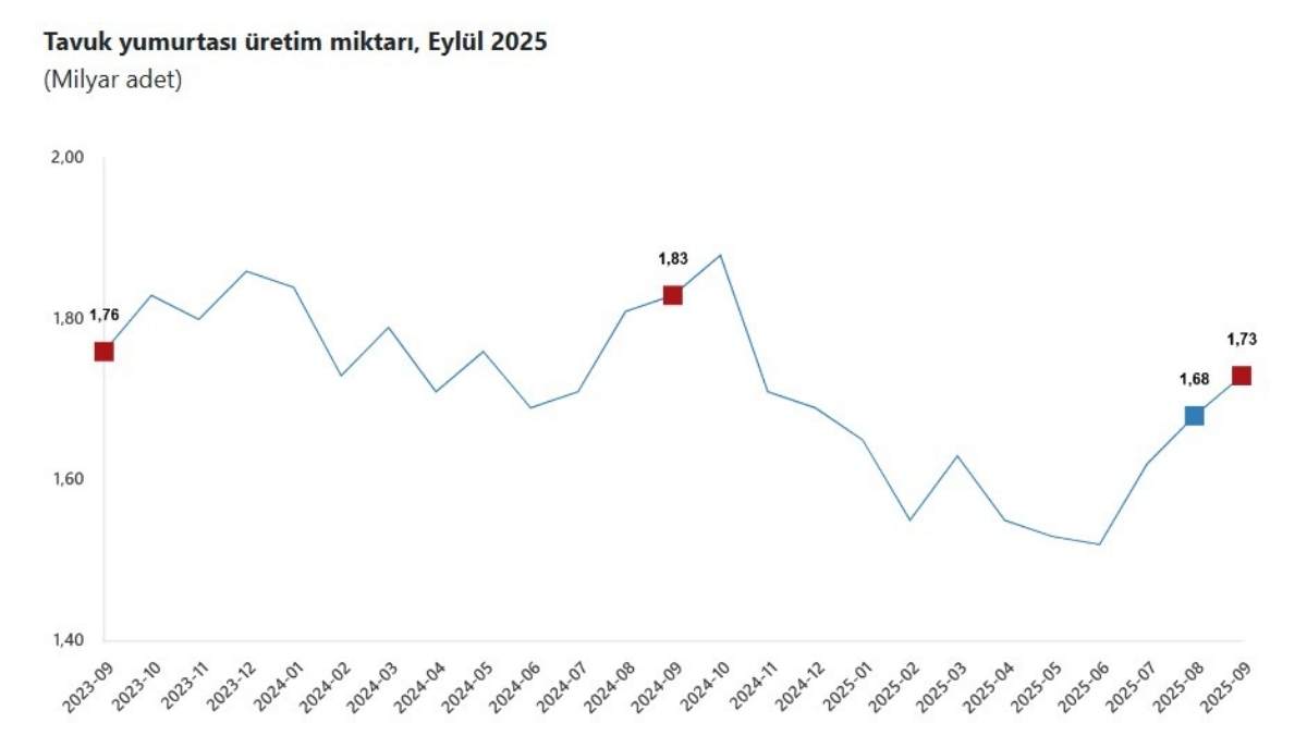 Kümeslerde Denge Bozuldu Tavuk Üretiminde Artış Yumurtada Düşüş Yaşandı3