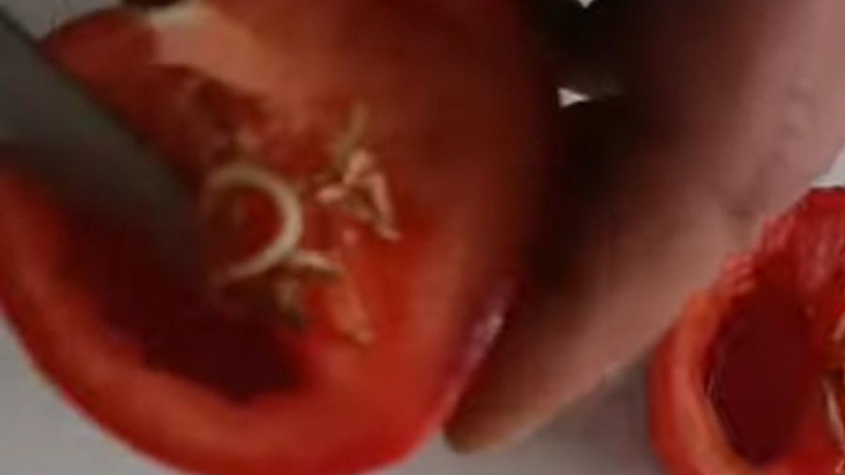 Niğde'de Pazardan Alınan Domatesin Içinden Çıkan Şey Şok Etti3