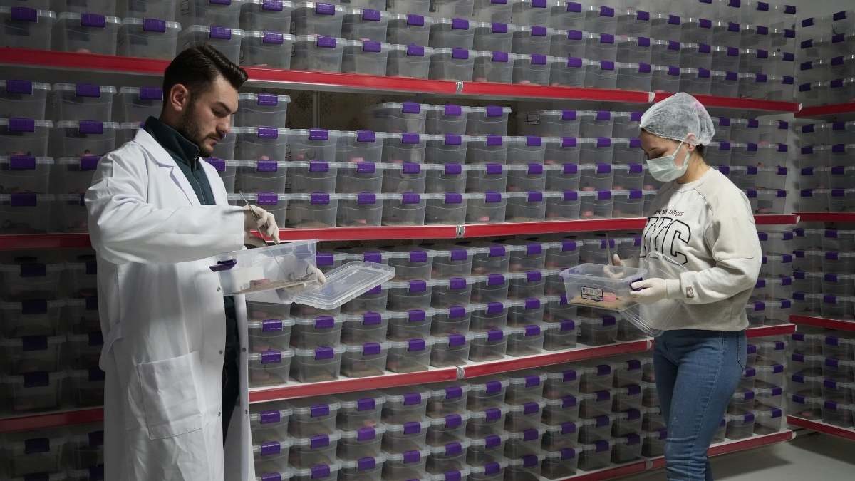 Niğdeli Girişimci Akrep Zehriyle Dünya Pazarına Açıldı!2