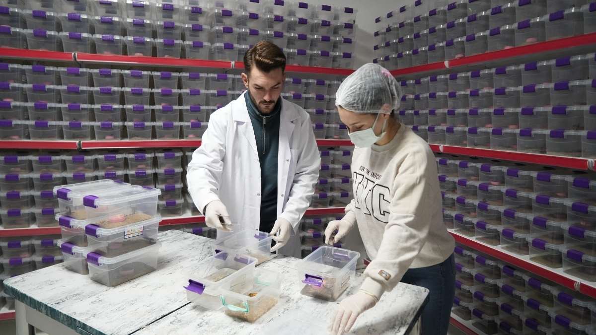 Niğdeli Girişimci Akrep Zehriyle Dünya Pazarına Açıldı!3