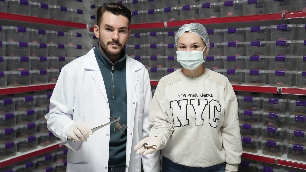 Niğdeli Girişimci Akrep Zehriyle Dünya Pazarına Açıldı!4