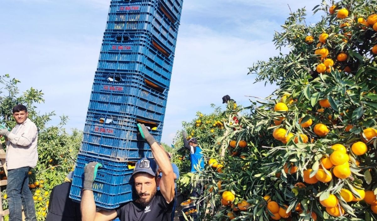 Ömer Uzunoğlu, Enflasyon Rakamları Hakkında (11)