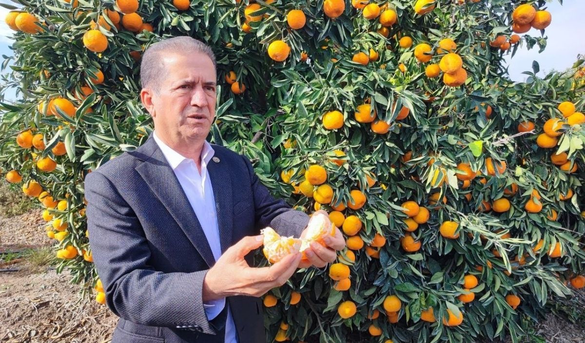 Ömer Uzunoğlu, Enflasyon Rakamları Hakkında (12)