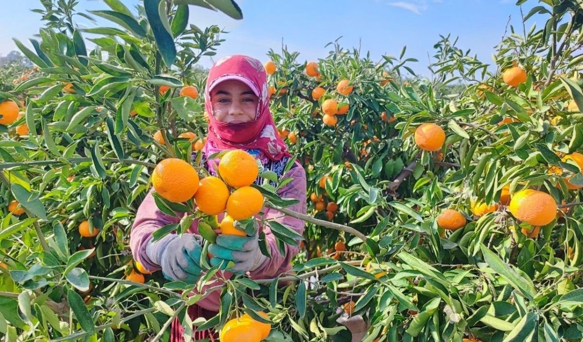 Ömer Uzunoğlu, Enflasyon Rakamları Hakkında (13)