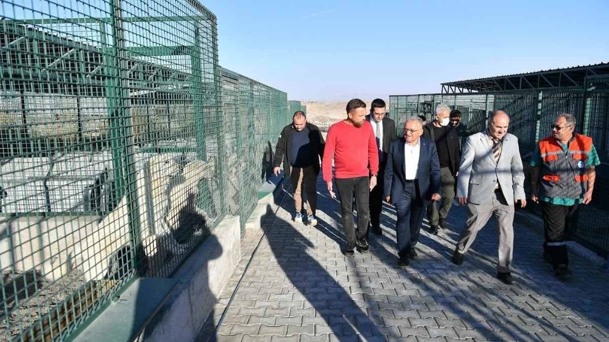 Pınarbaşı’na Yeni Açık Hayvan Barınağı Geliyor2