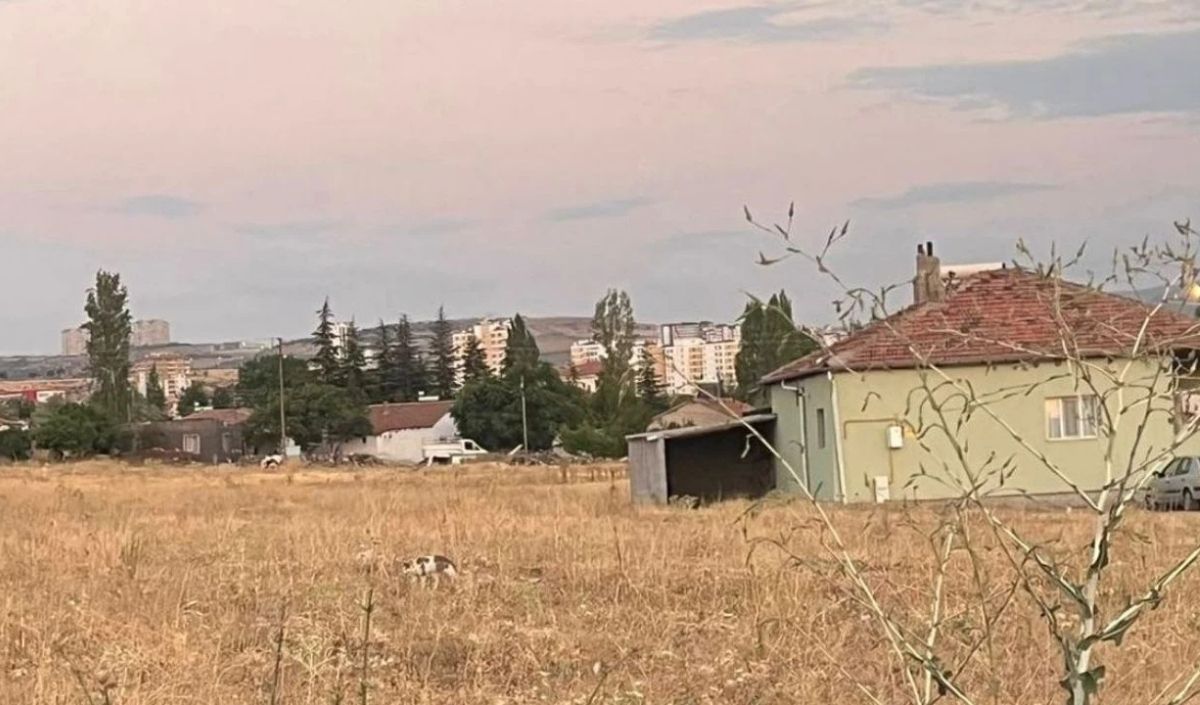 Sedat Peker Serkan Karakaya Teşekkür Video (3)