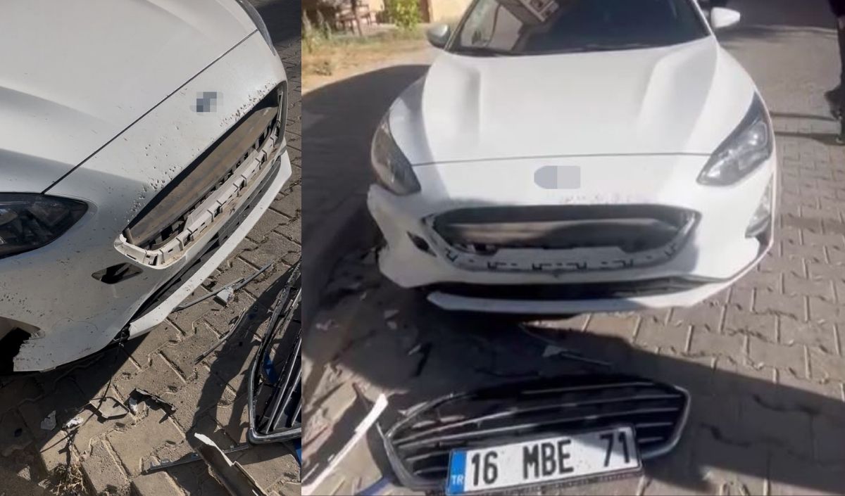 Sokak Köpekleri Park Halindeki Otomobile Saldırdı! (1)