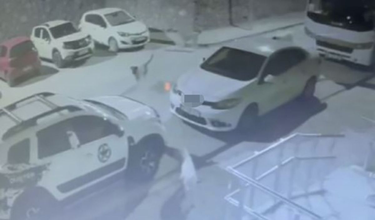 Sokak Köpekleri Park Halindeki Otomobile Saldırdı! (2)