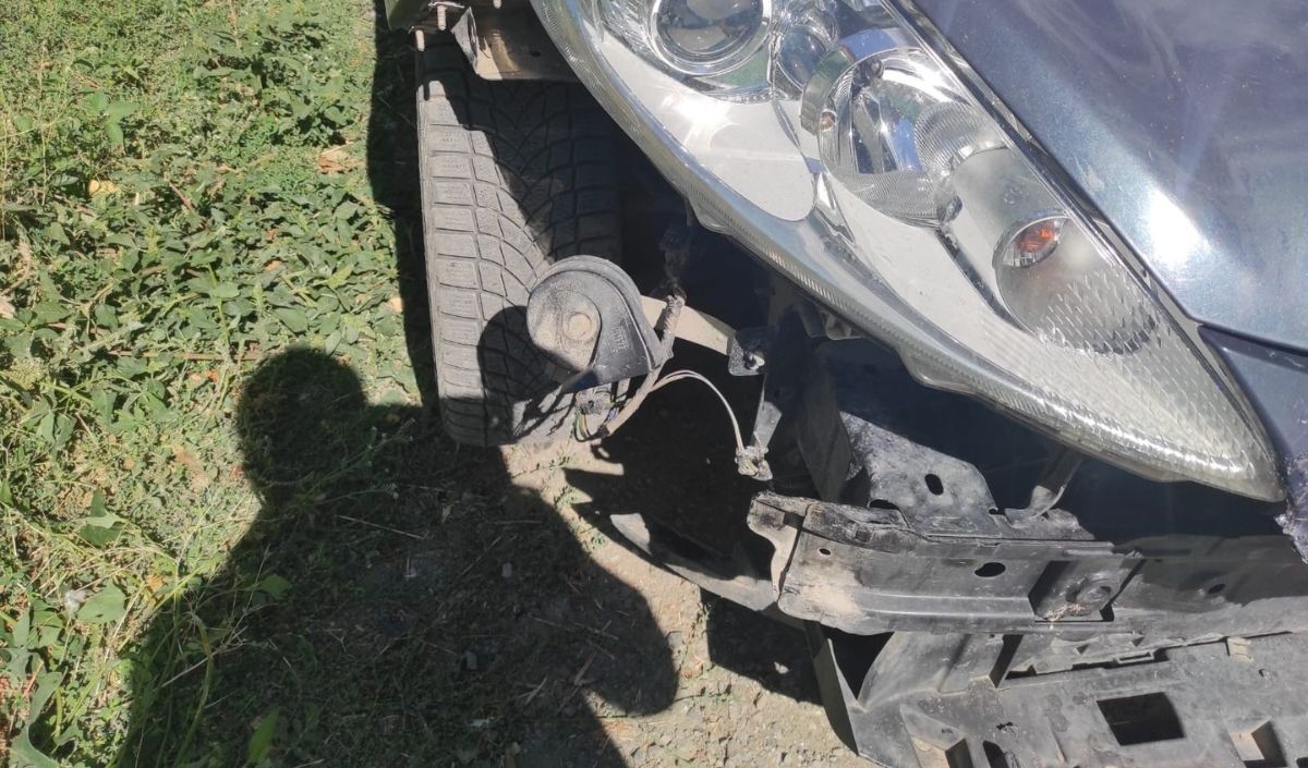 Sokak Köpekleri Park Halindeki Otomobile Saldırdı! (4)