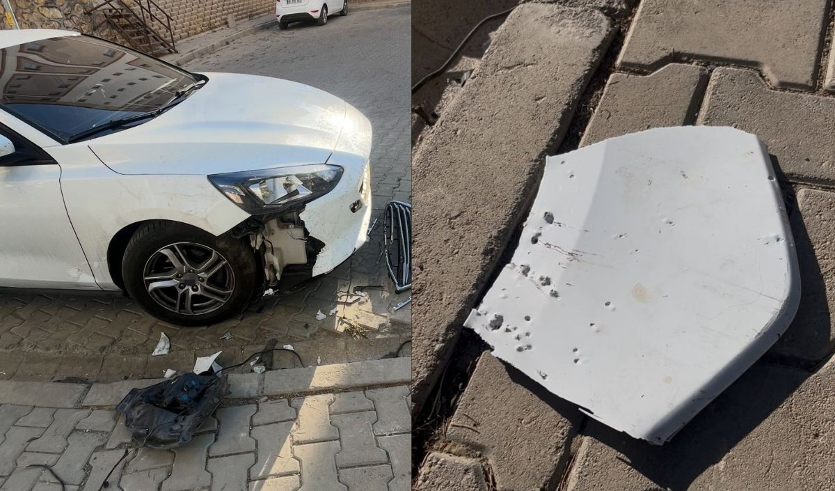 Sokak Köpekleri Park Halindeki Otomobile Saldırdı!