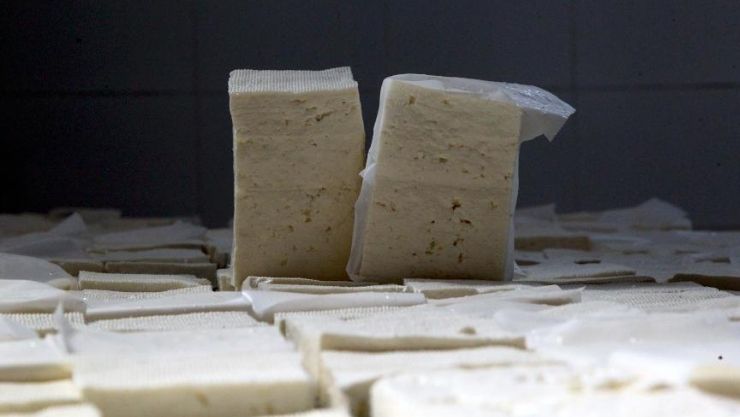 Taklit Tağşiş Zeytinyağı Peynir (2)