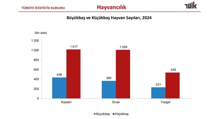 Tüik Hayvan Kayseri Sivas Yozgat