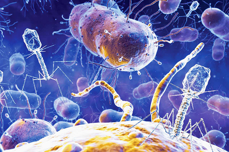 Evde herkesin kullandığı bu ürün bakterileri yayabiliyor