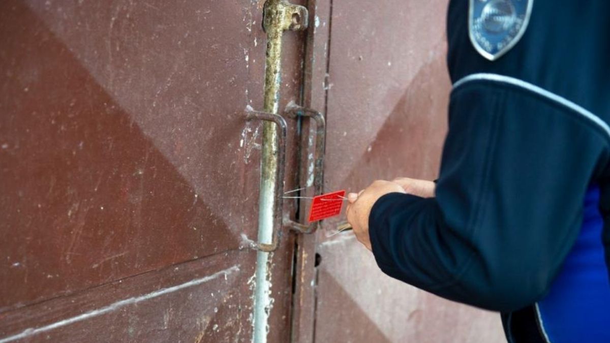 25 Kasa Kokmuş Tavuk (2)