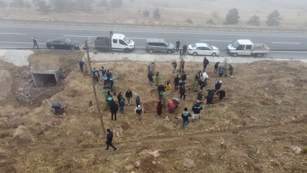 yahyalı fidan dikimi