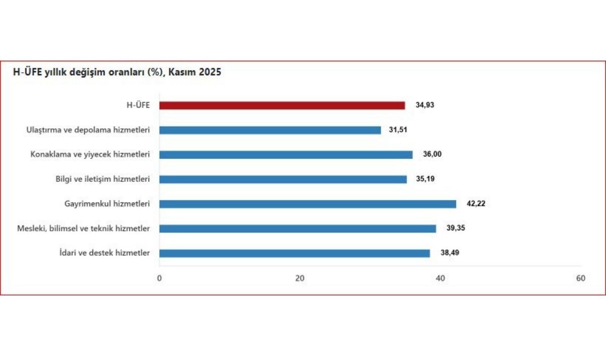 Hizmet Verileri Endeksi (2)