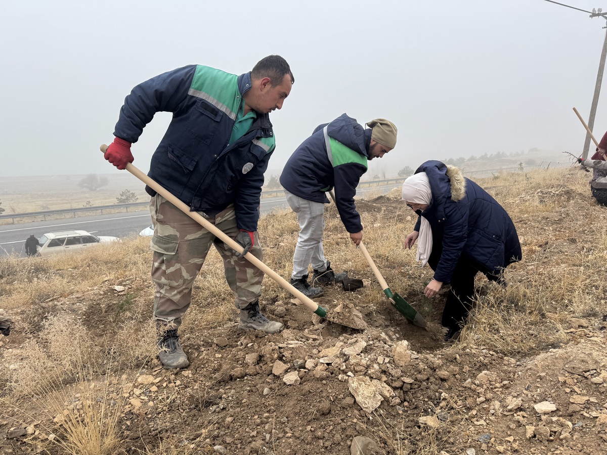 yahyalı fidan dikimi