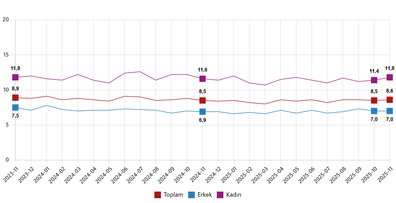 Kasım Ayı Işsizlik Oranı Belli Oldu! İşsiz Sayısı 3 Milyonu Aştı (1)-1