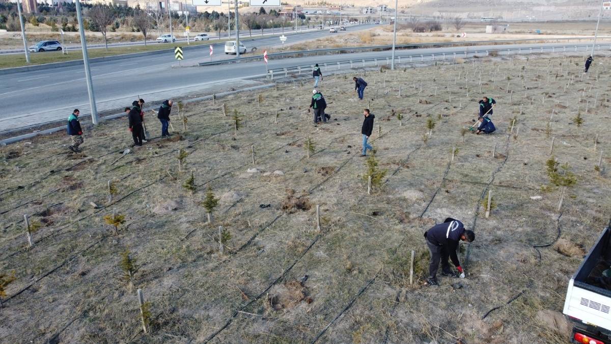 Kayseri Yeşile Büründü! Binlerce Fidan Toprakla Buluştu (4)