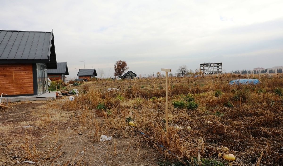 Kayseri’de Kent Tarımıyla 12 Ton Ürün Elde Edildi (4)