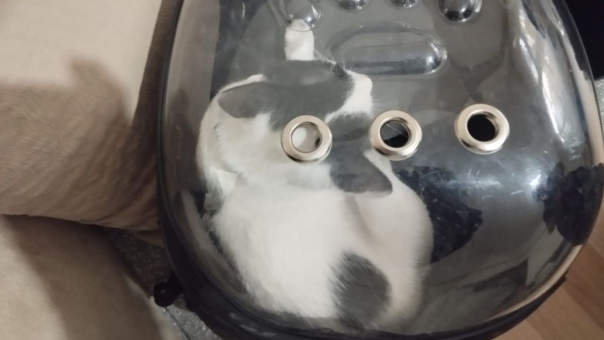 Kayseri’de Titiz Operasyon Tofu Itfaiye Ekiplerince Kurtarıldı (1)