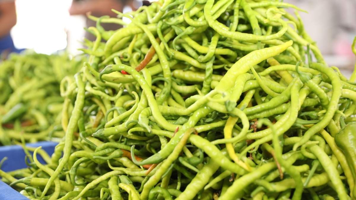 Kayseri’nin Tek Ekolojik Pazarı 2025’Te Rekor Kırdı!2