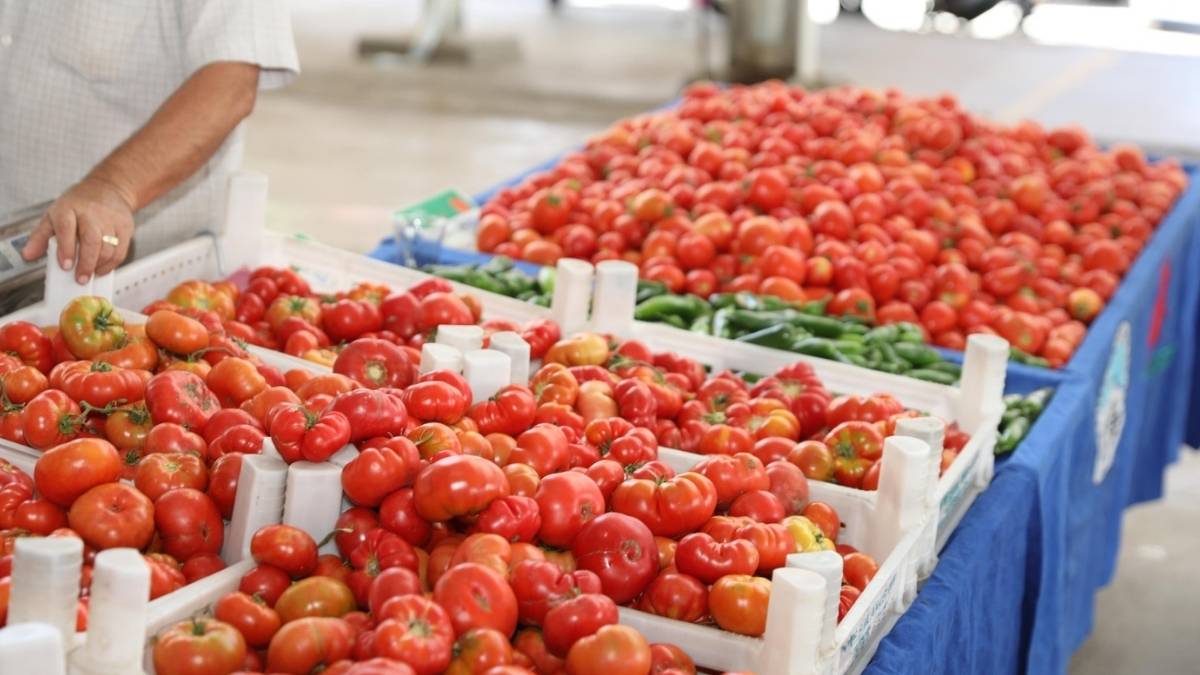 Kayseri’nin Tek Ekolojik Pazarı 2025’Te Rekor Kırdı!3