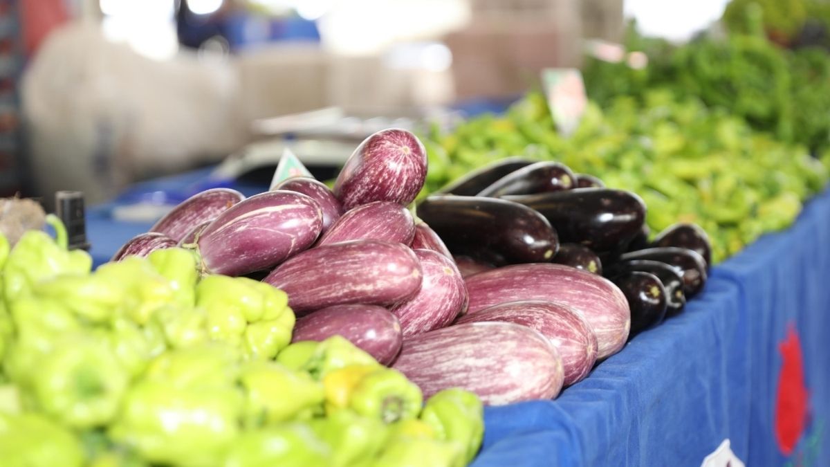 Kayseri’nin Tek Ekolojik Pazarı 2025’Te Rekor Kırdı!4