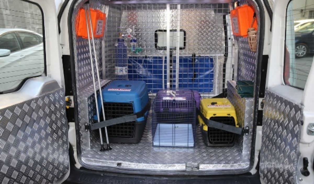 Patili Ambulansı (2)